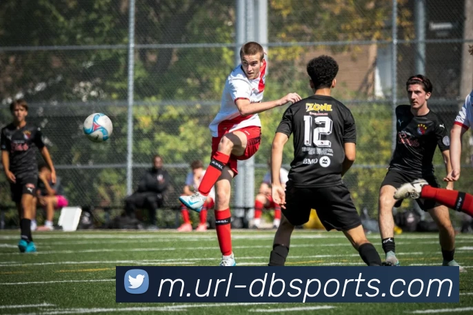 DB体育发展历程